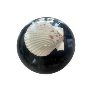 Vintage Marineland of the Pacific Real Shell in Lucite Paperweight Souvenir